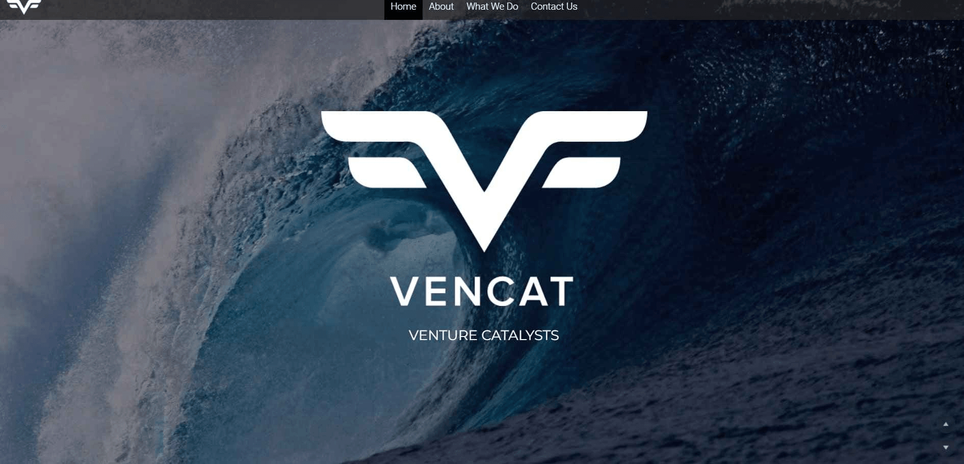 null vencat-logo-colors